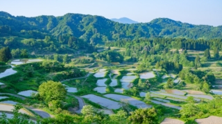 地方移住で夫婦の意見が割れた時にやってよかった5つのこと