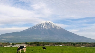 結婚がきっかけでUターン移住を決断した理由【実体験】