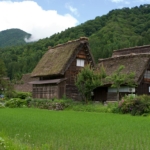 田舎移住の費用はいくらかかった?実体験から学ぶ準備のポイント