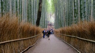 田舎暮らしで家族時間が増えた？移住10年で実感したこと