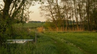 元SEのスキルは地方の仕事で役立つ? 移住した私の正直な答え